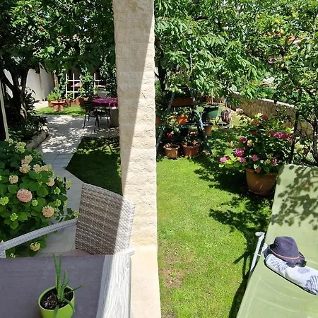 Apartment Pipo